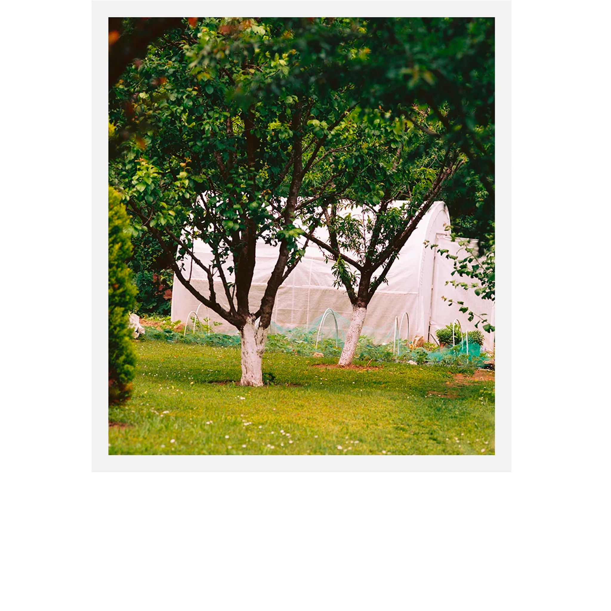 8 M² Candle - Ormaie Paris - Image 3