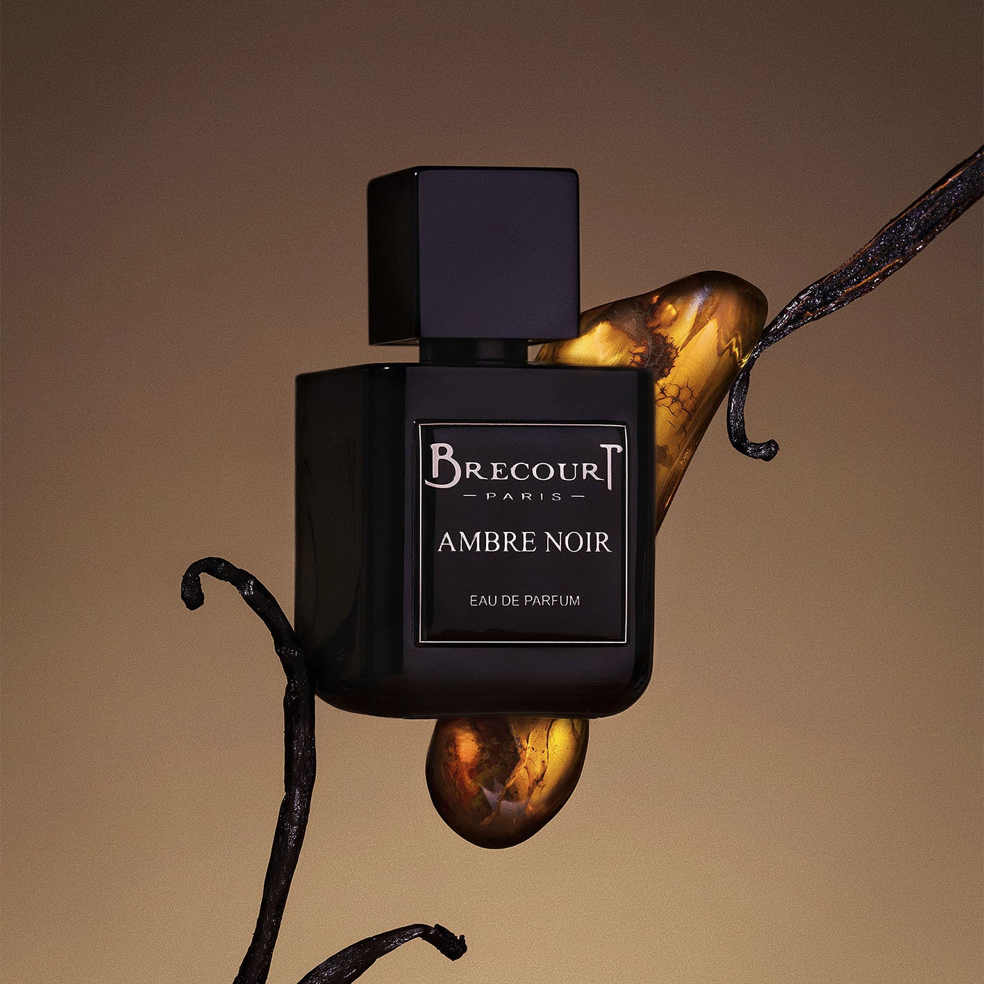 Ambre Noir - Brecourt - Image 5