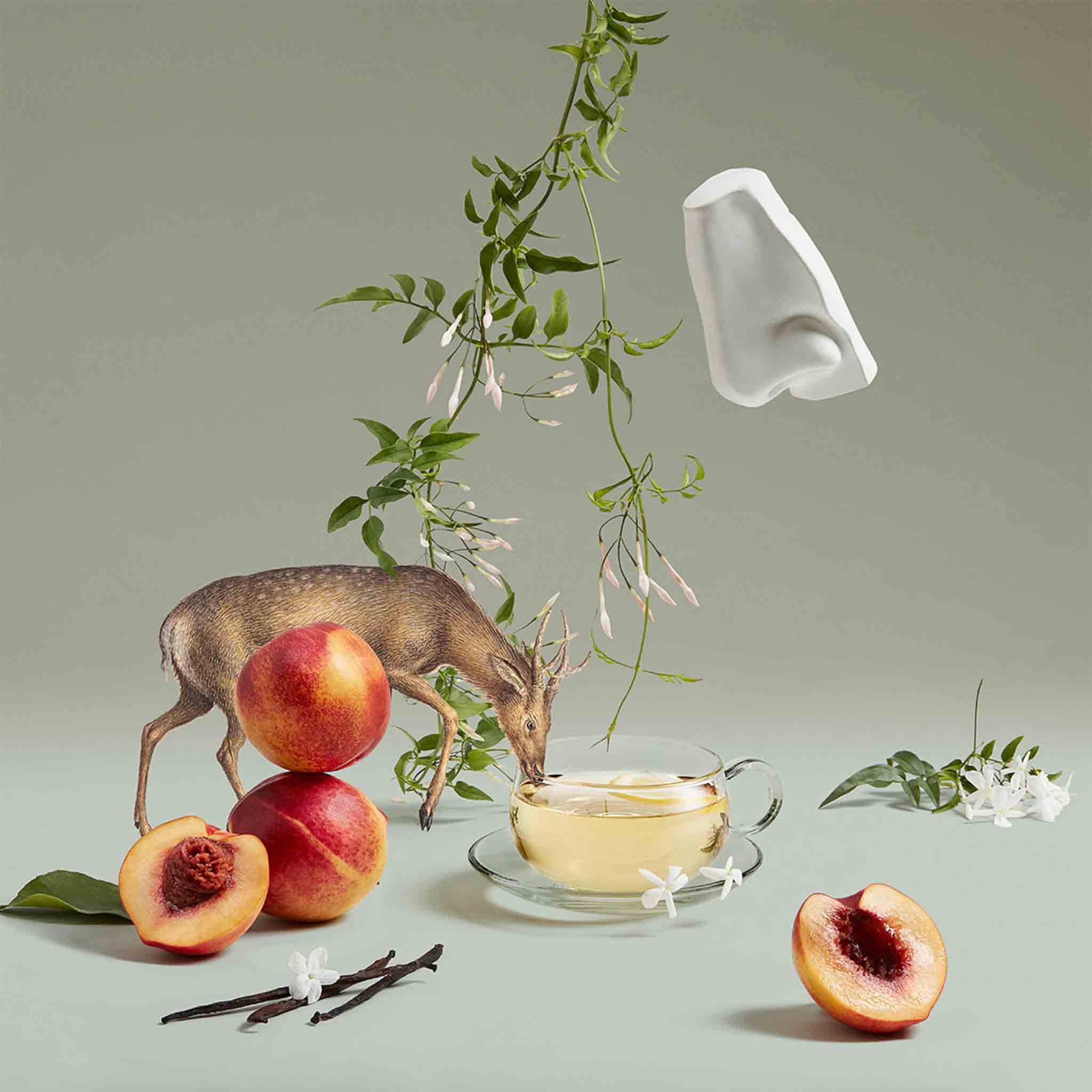 Artemisia Edp - Penhaligon's - Image 4