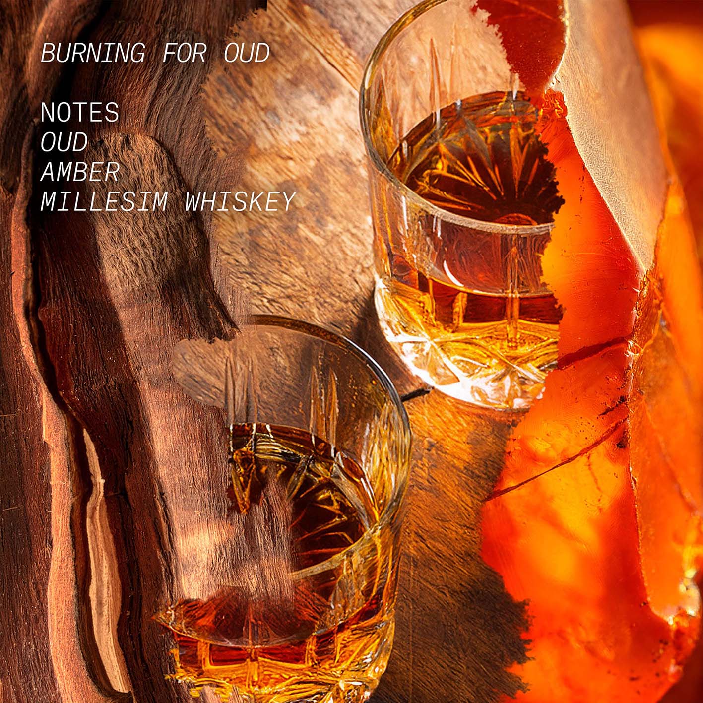 Burning for Oud - L'Atelier Parfum - Image 3