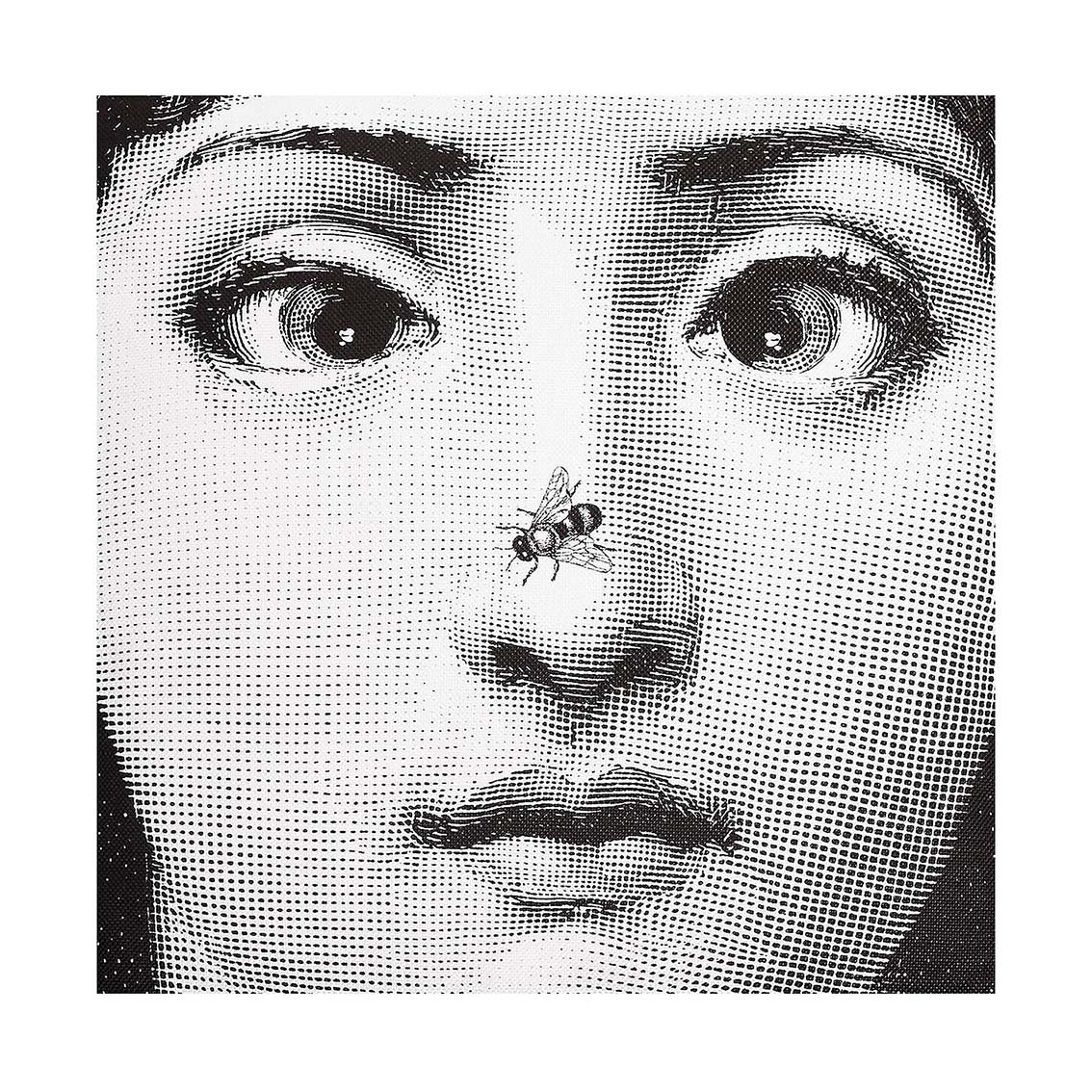 Cuscino Ape - Fornasetti - Image 3