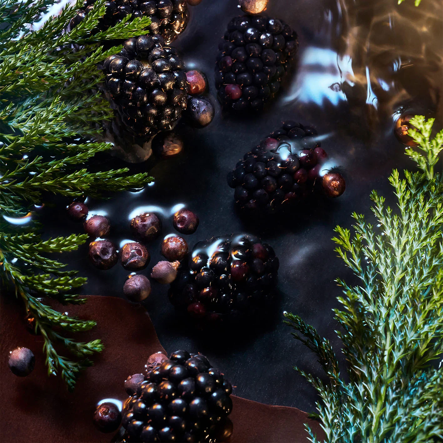 Elysium Noir - Roja Parfums - Image 4