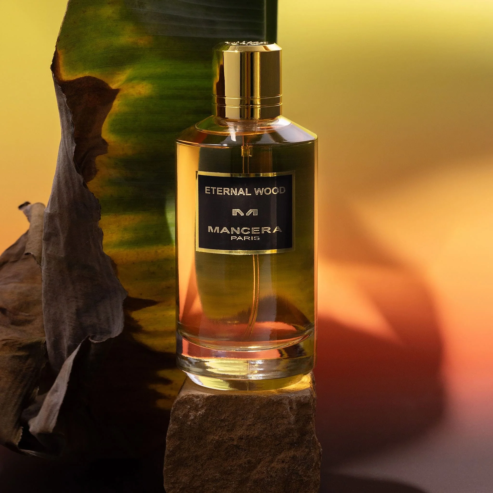 Eternal Wood - Mancera - Image 2