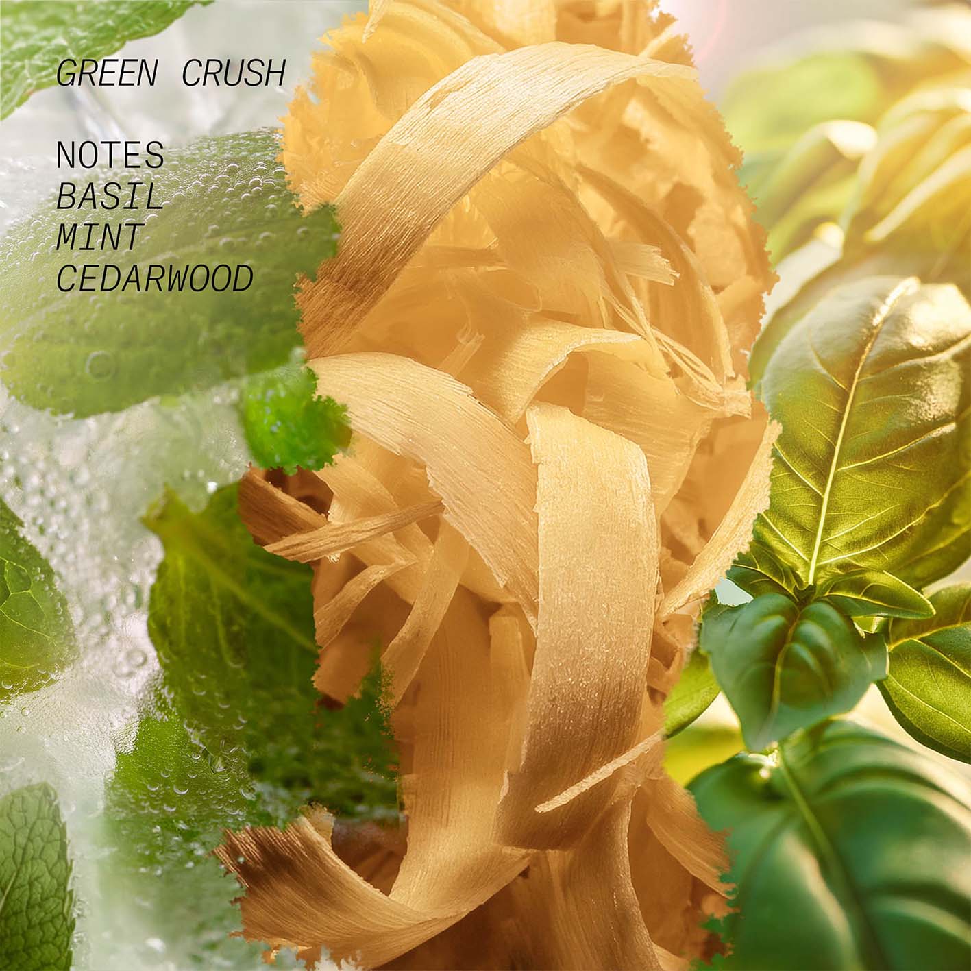 Green Crush Hair and Body Mist - L'Atelier Parfum - Image 3