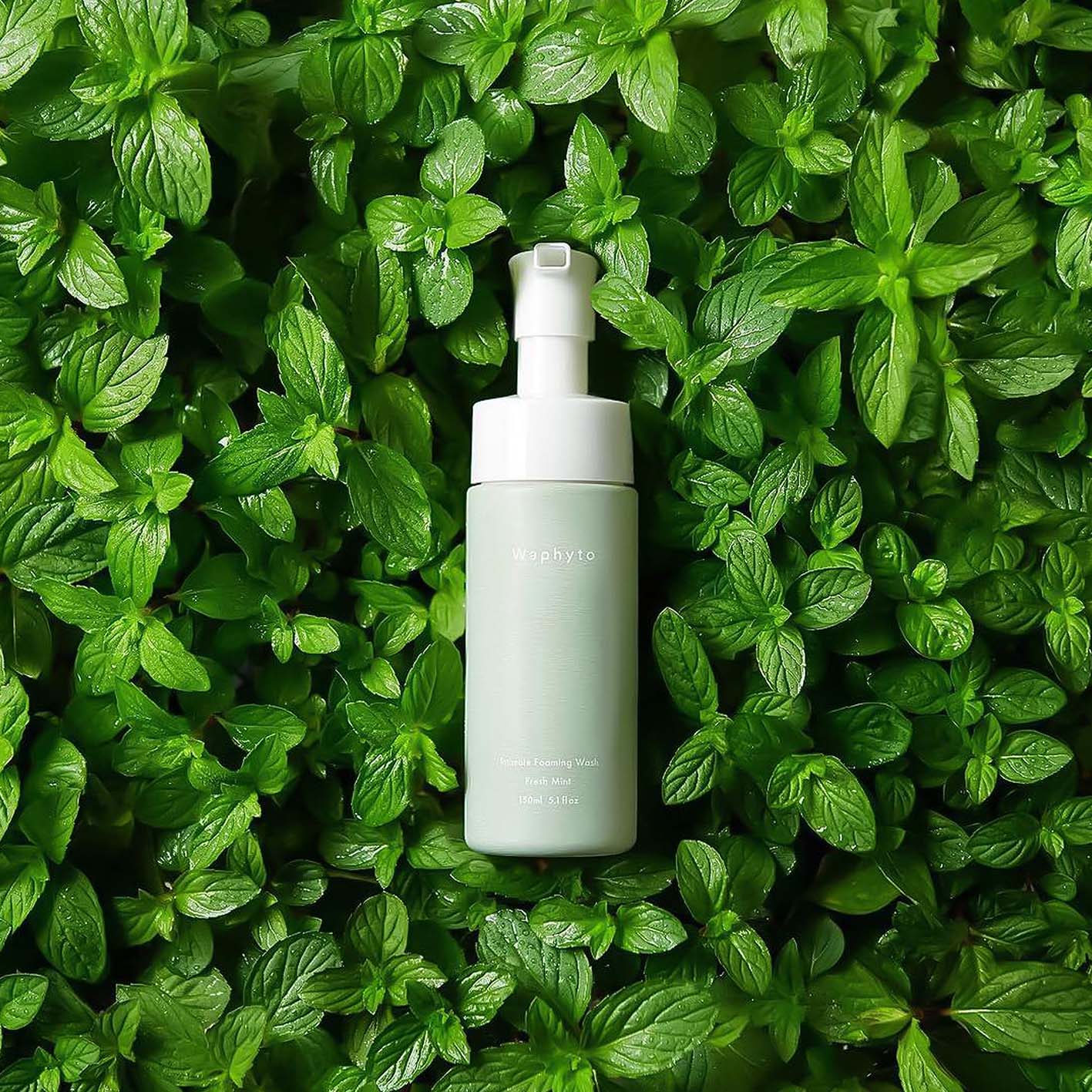 Intimate Foaming Wash - Waphyto - Image 3