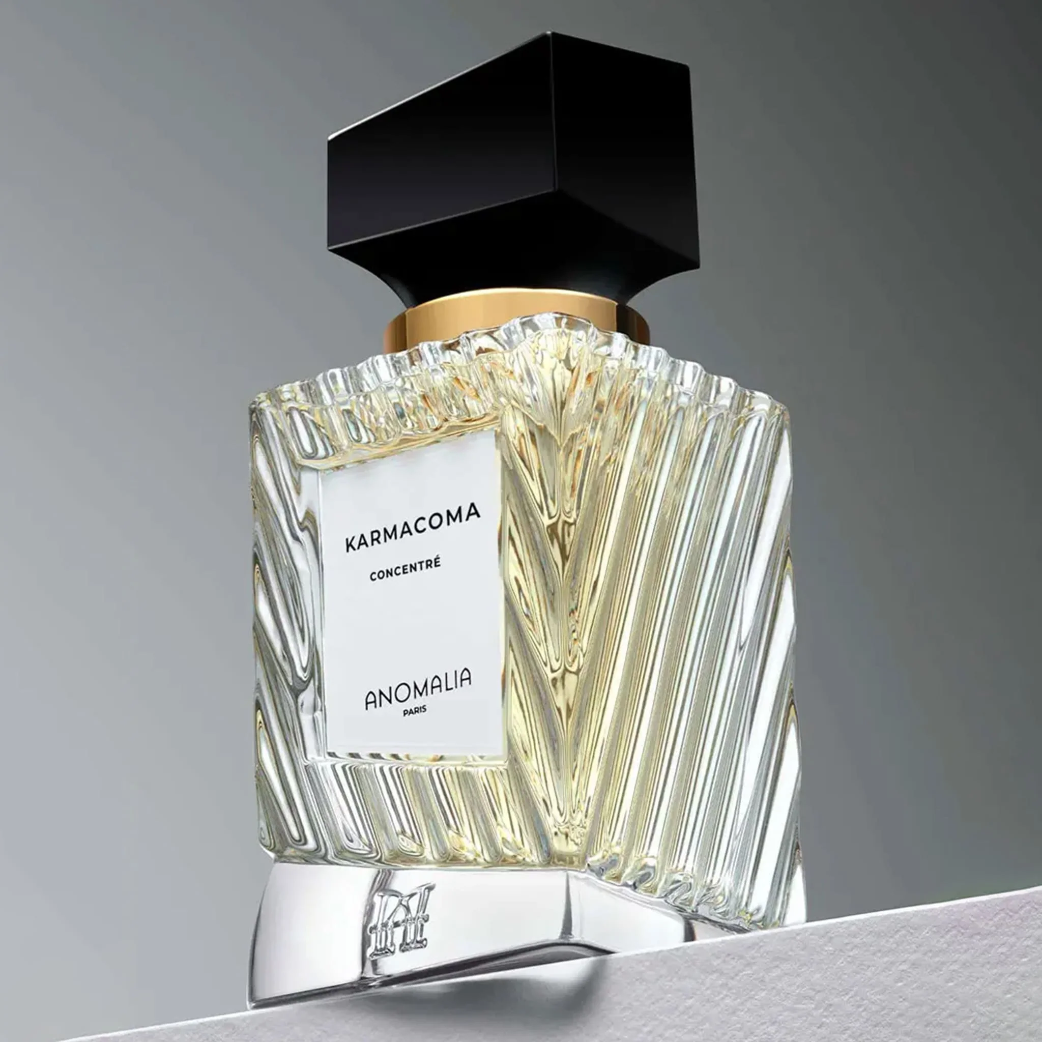 Karmacoma - Anomalia Paris - Image 4