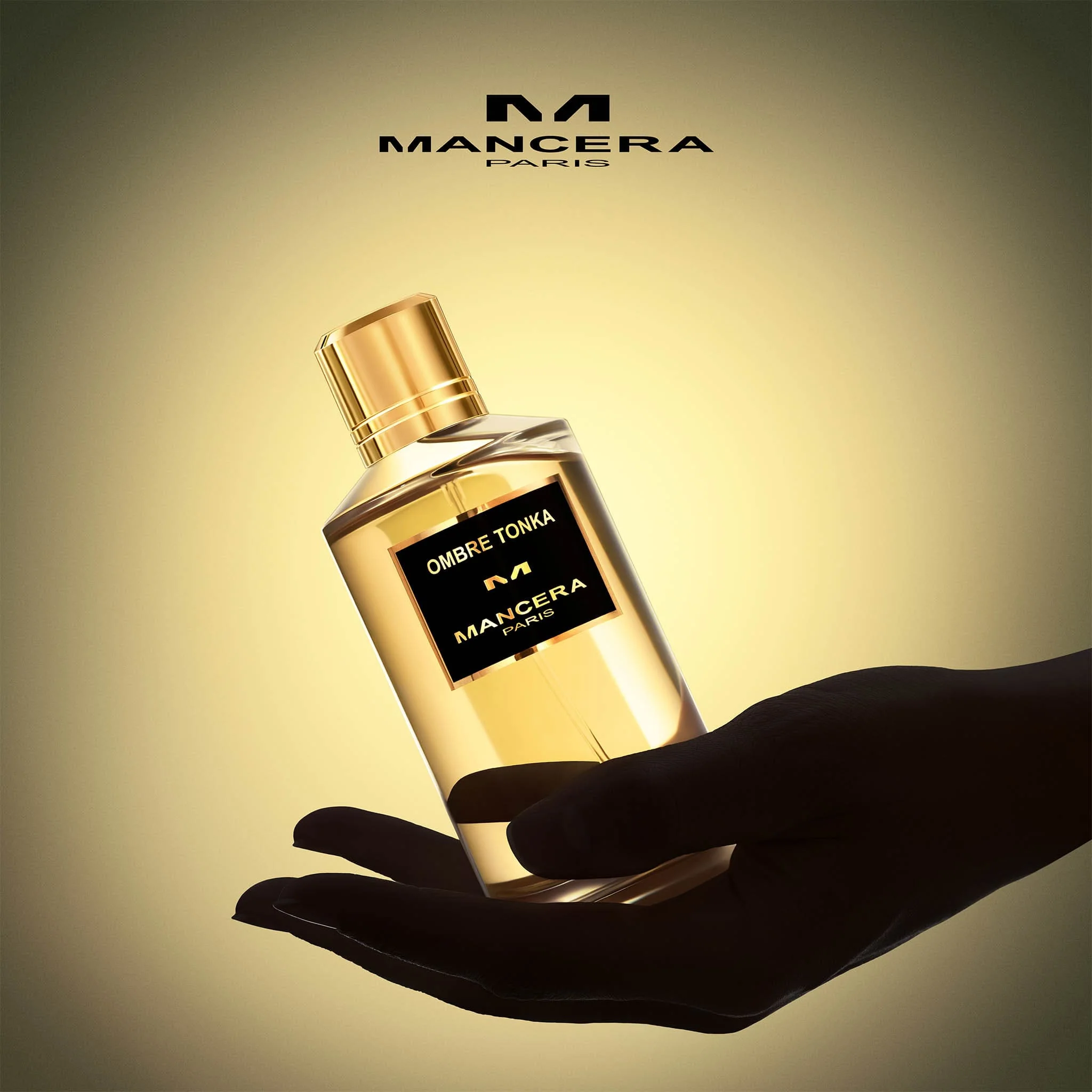 Ombre Tonka - Mancera - Image 4