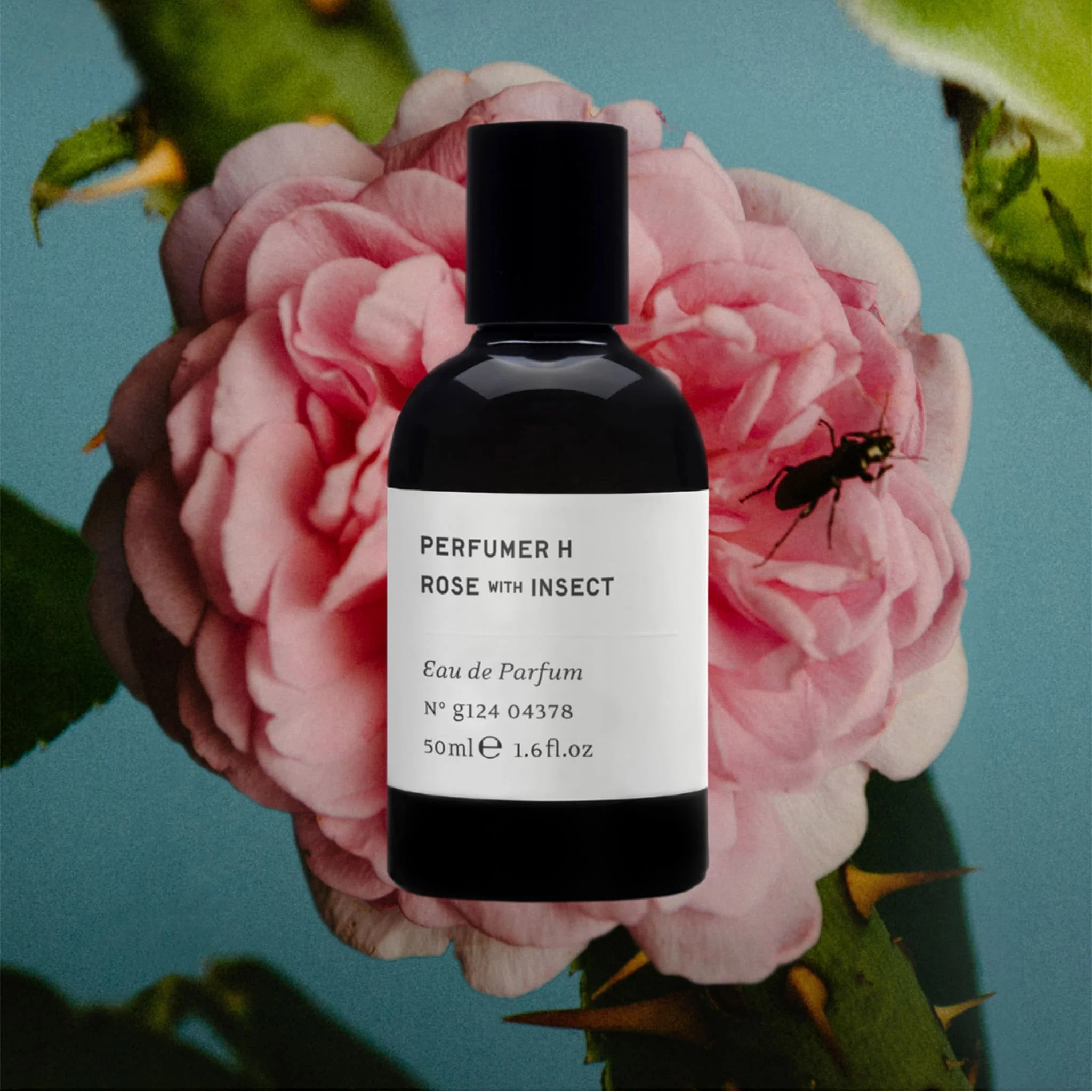 Rose With Insect - Perfumer H - Image 2