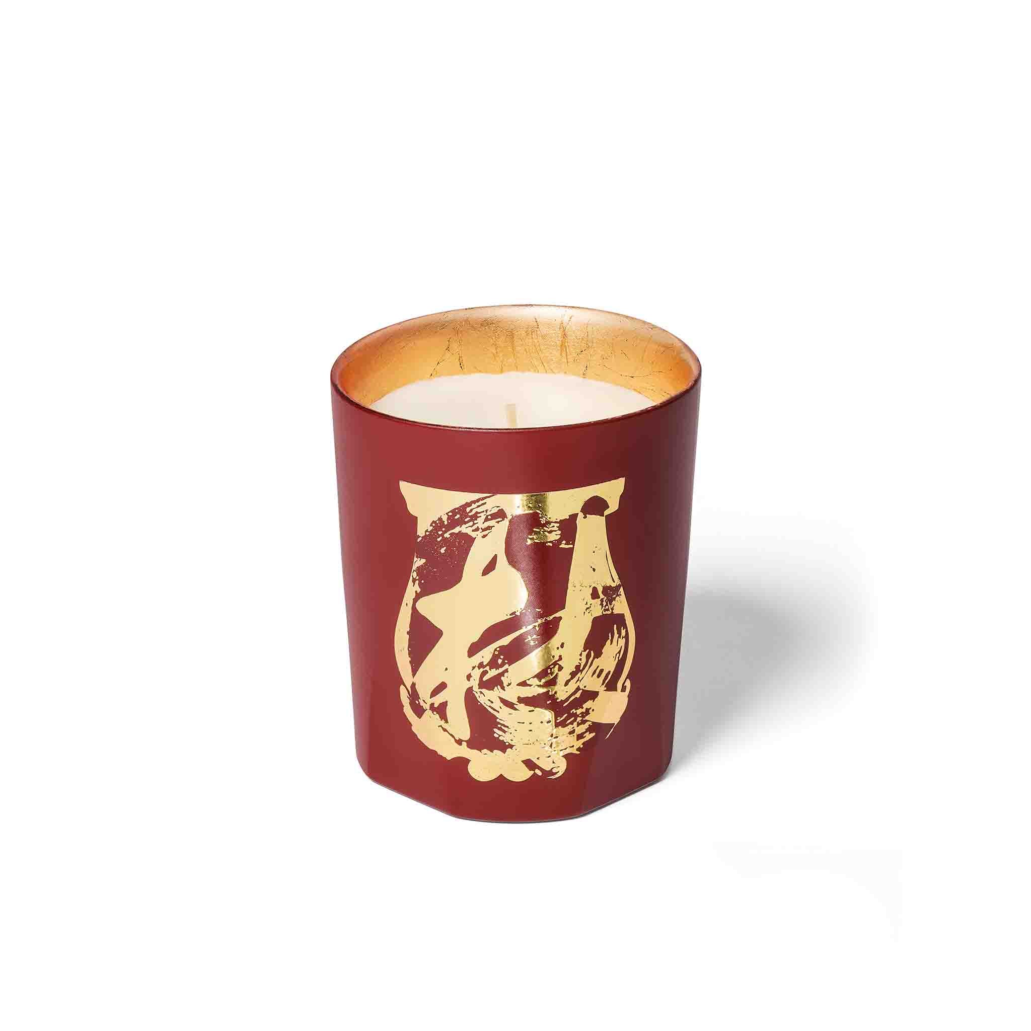 Terre à Terre Bougie - Trudon - Image 2