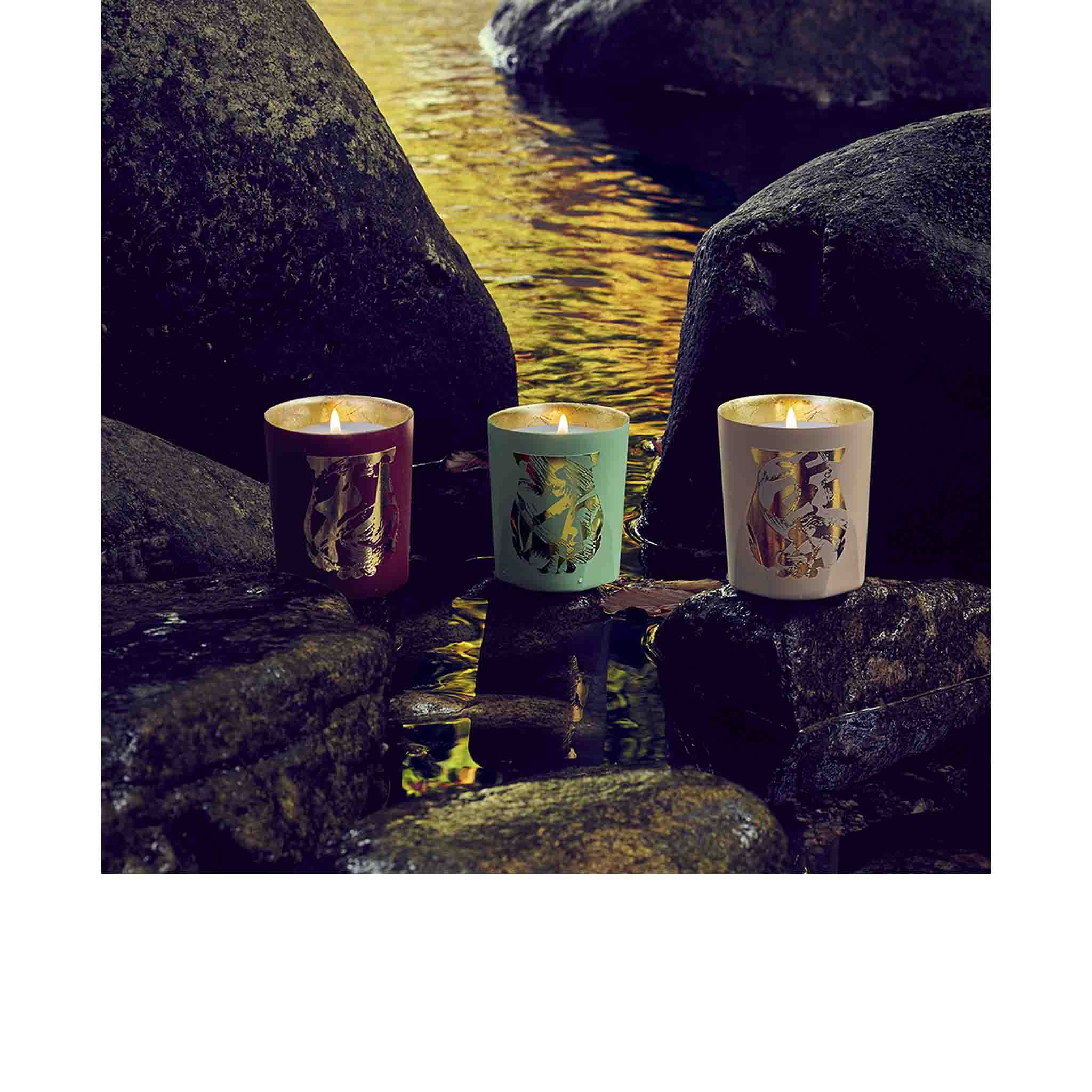 Terre à Terre Bougie - Trudon - Image 5