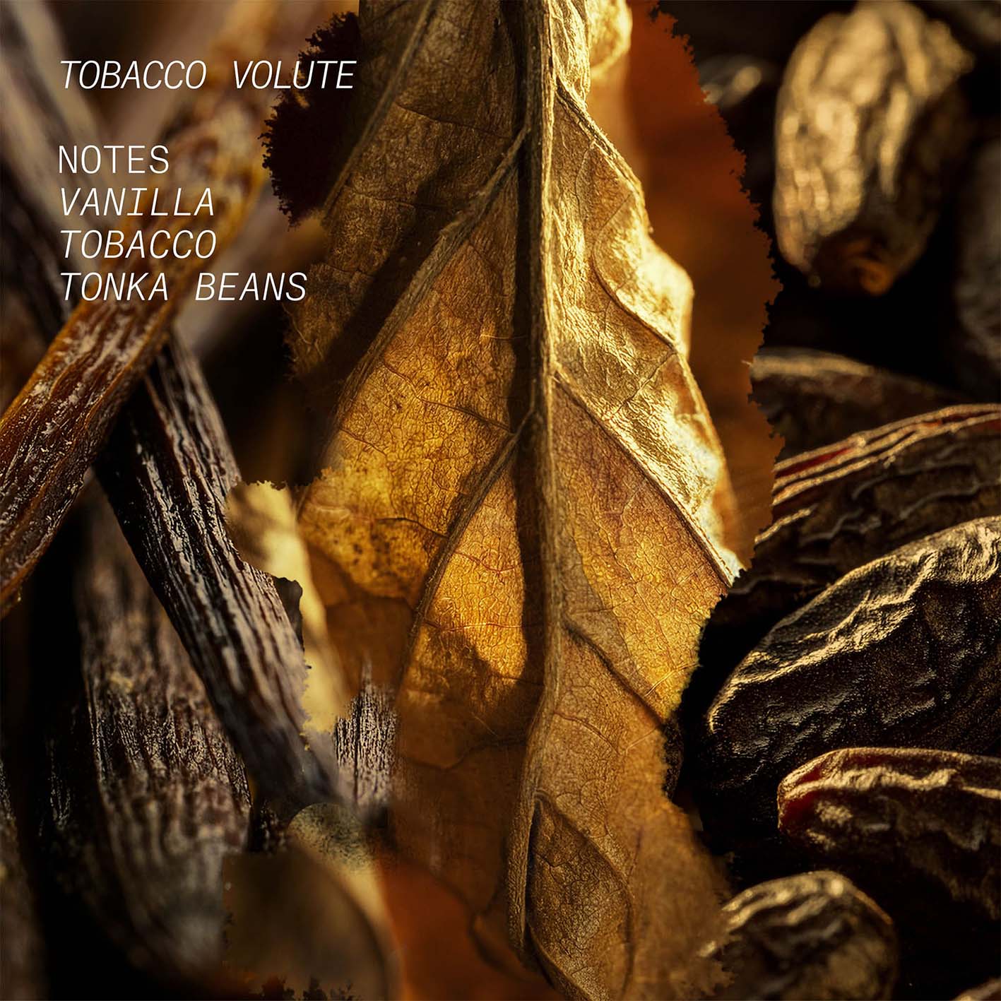 Tobacco Volute - L'Atelier Parfum - Image 3