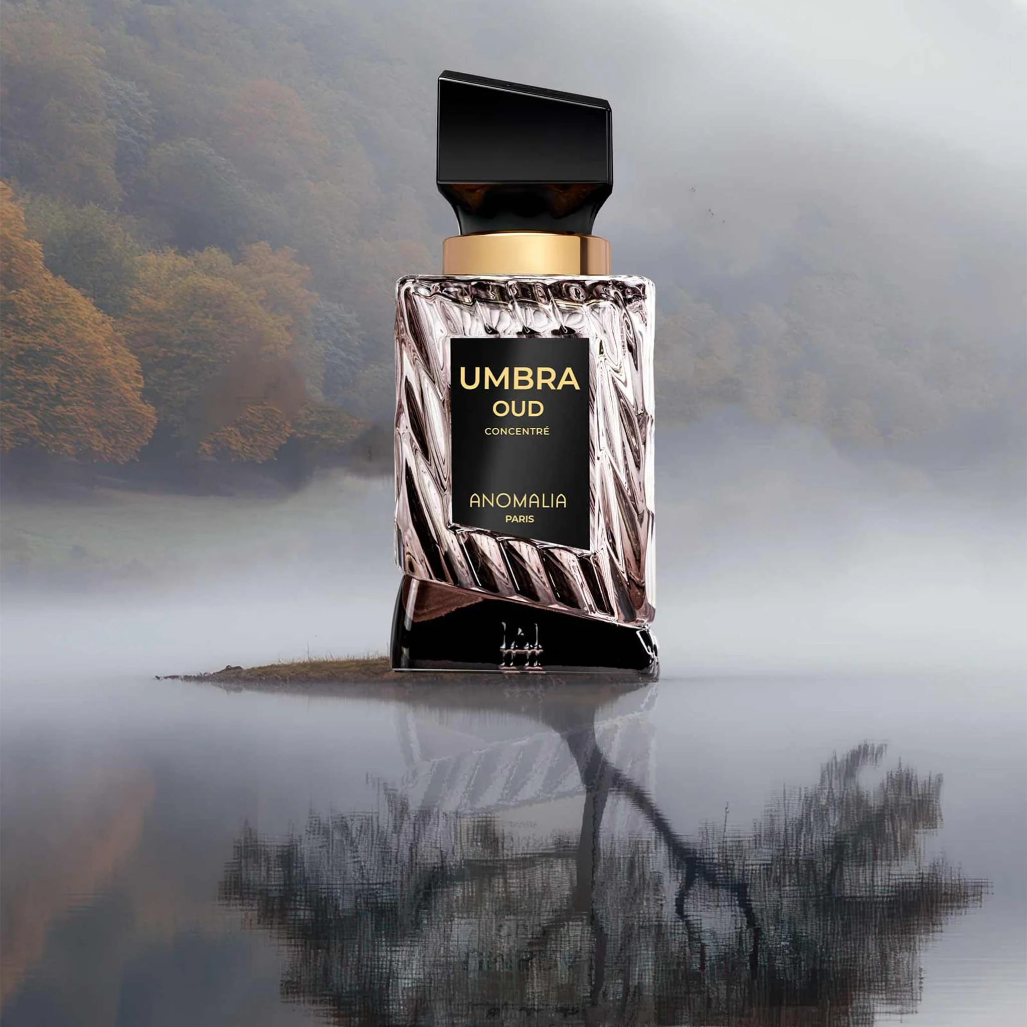Umbra Oud - Anomalia Paris - Image 5