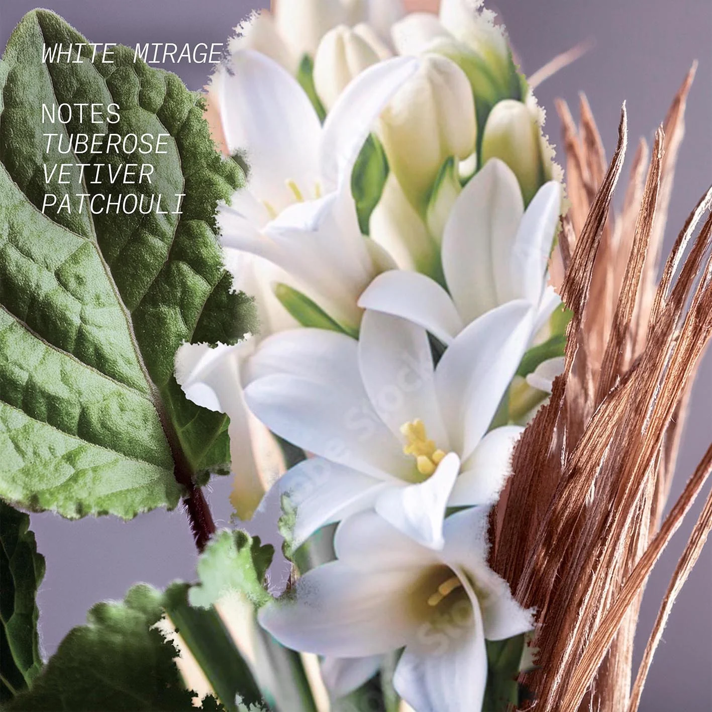 White Mirage - L'Atelier Parfum - Image 3